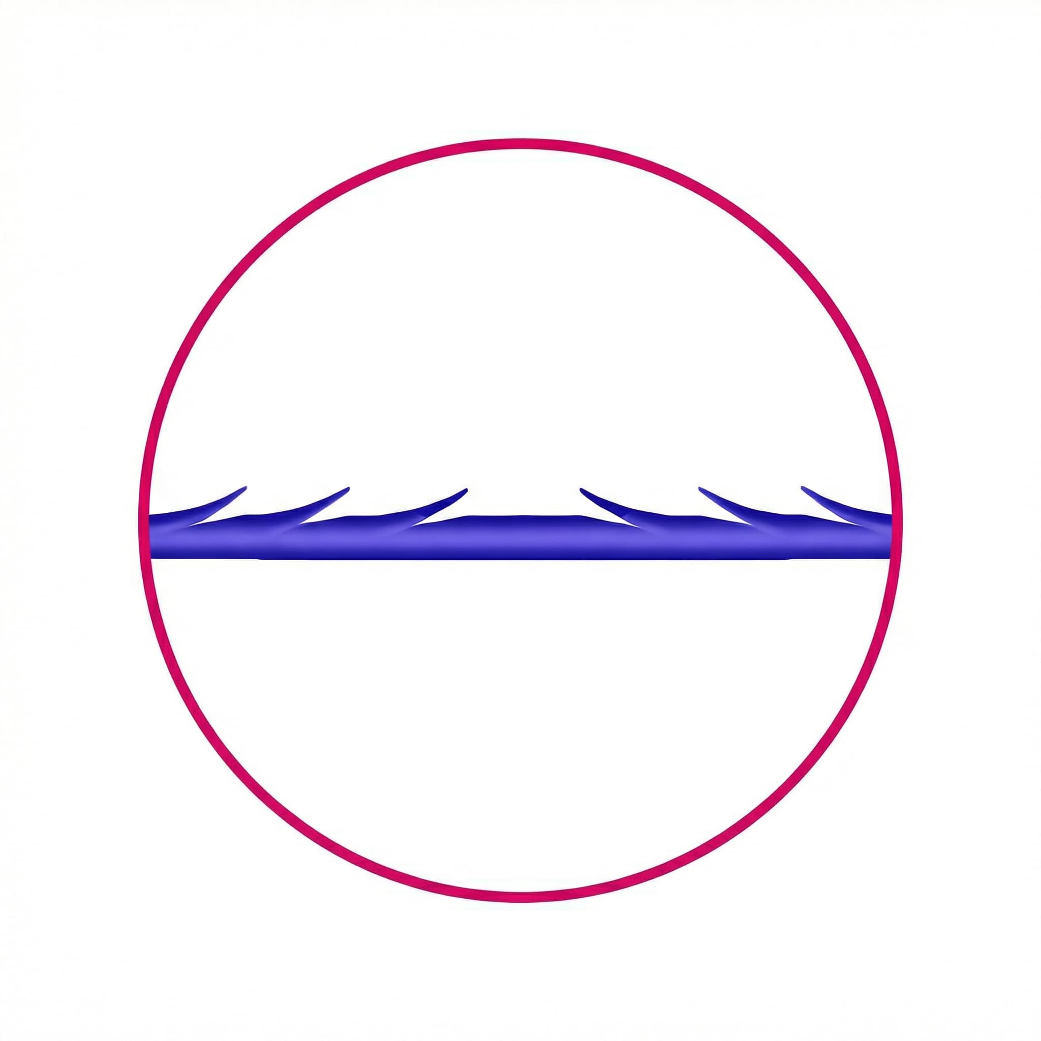 Multidirectional Barb Anchoring