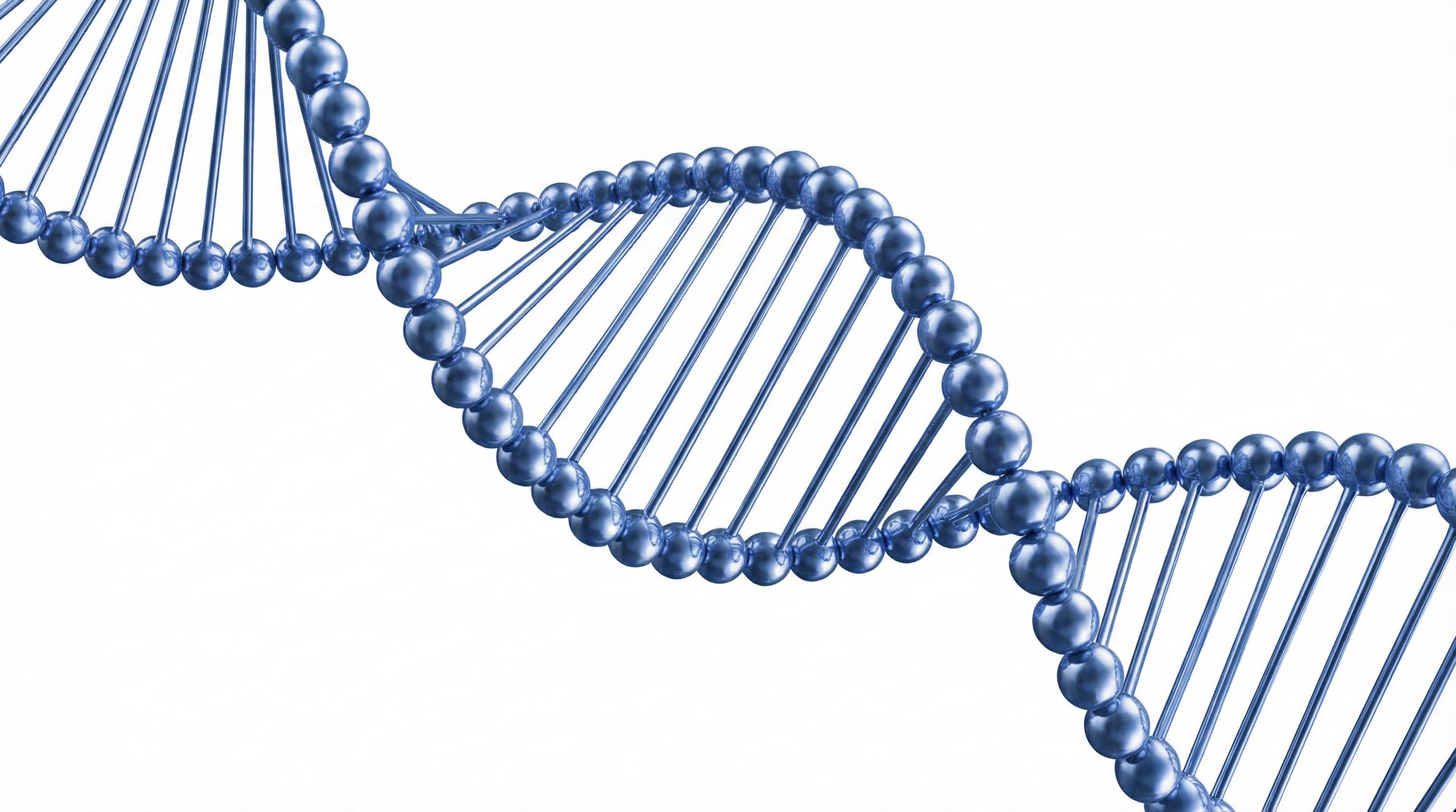 폴리뉴클레오타이드(PDRN) 재생 기술
