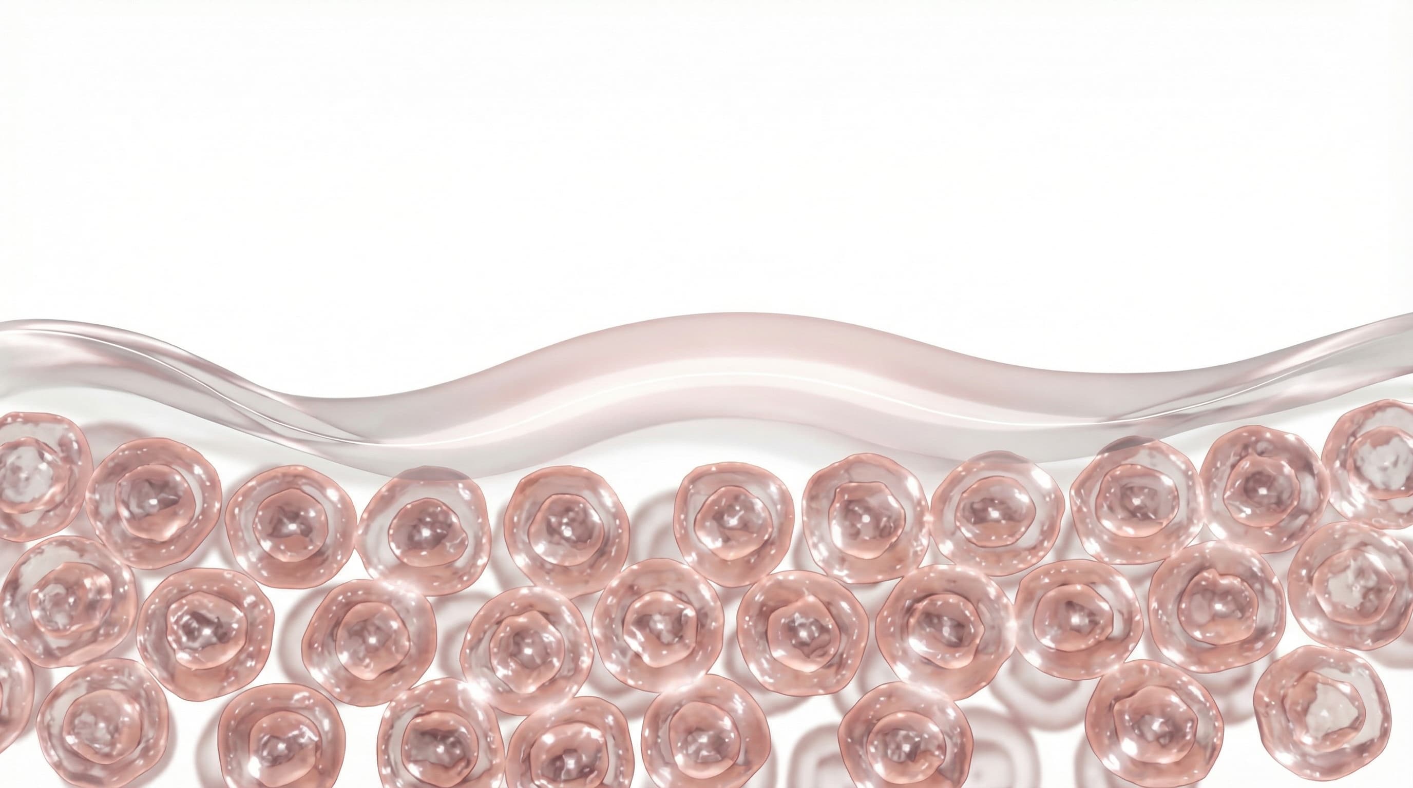 RF Fat Reduction Technology